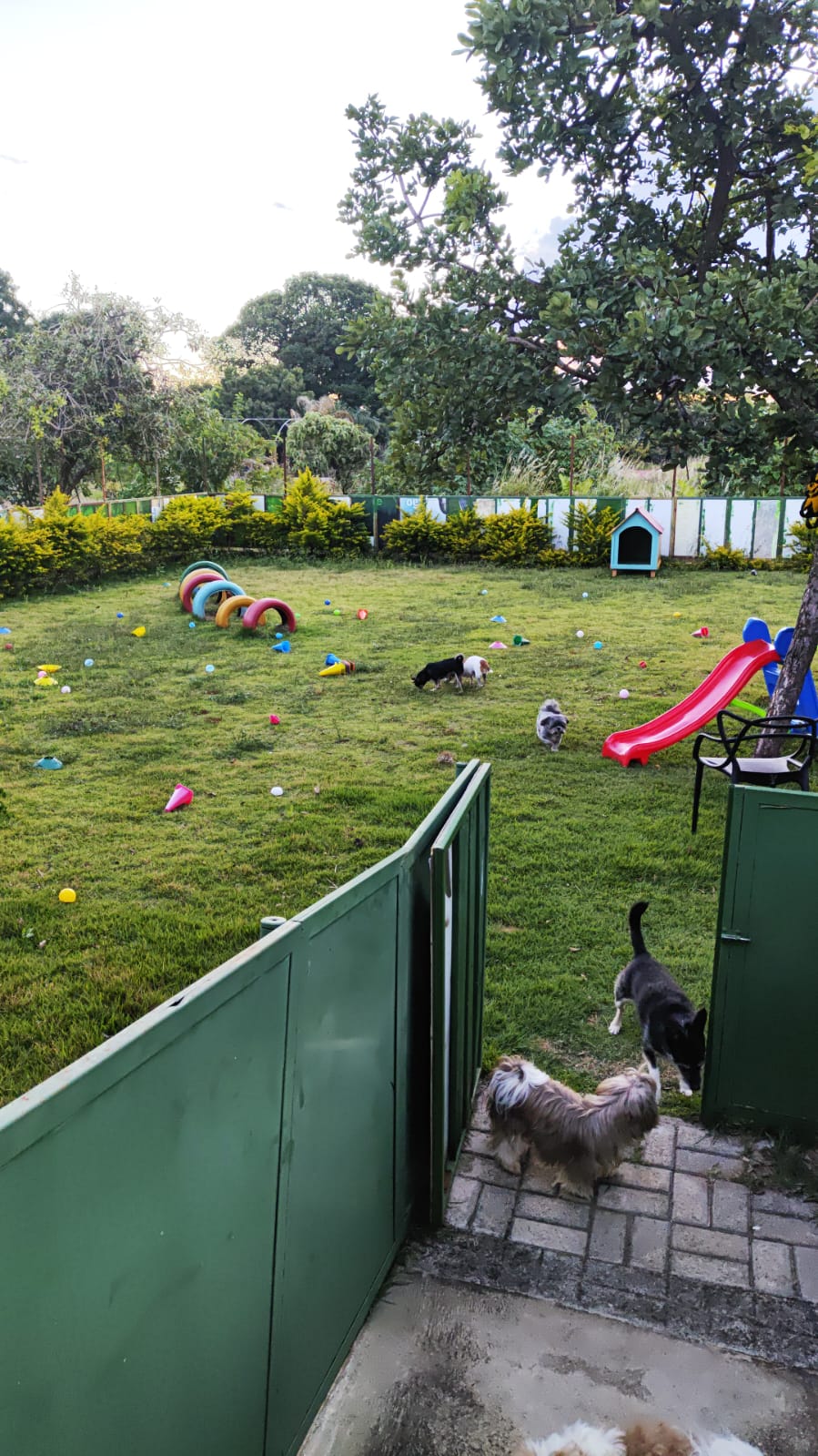 Entrada do Hotel para Pets da Casa do Snoopy